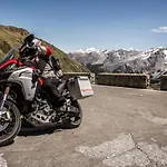 Alp